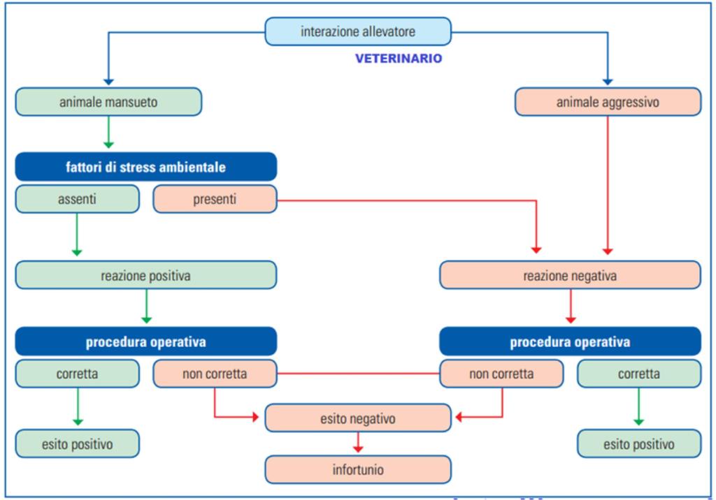 Interazione VETERINARIO-ANIMALE FONTE: Pubblicazione Scientifica «La