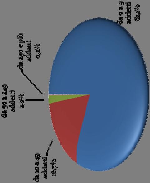 addetti, le piccole e medie imprese rappresentano assieme il 5%. Le grandi imprese (sopra i 250 addetti) rappresentano solo lo 0,1%.