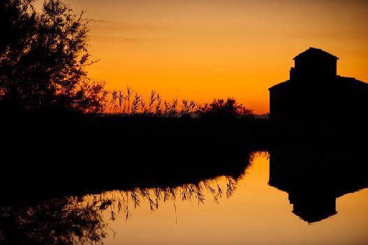 sulla biodiversità a cura dell ente parco.