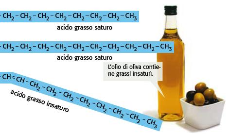 La classe dei lipidi comprende i