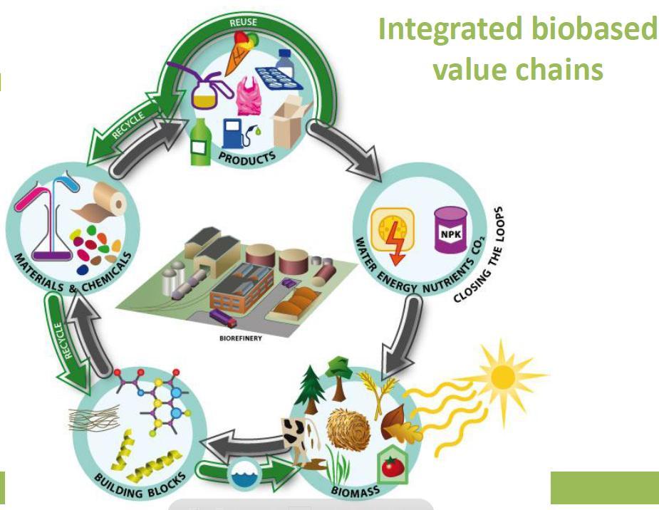 transportation fuels Chemicals Materials Food ingredients and feed Energy Focused on development and actual realisation of integrated biobased