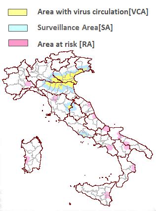 Evoluzione della sorveglianza veterinaria Dal 2002 al 2013 Revisione annuale Circolazione costante del virus in alcune regioni italiane con fluttuazioni annuali Casi sporadici di infezione in aree