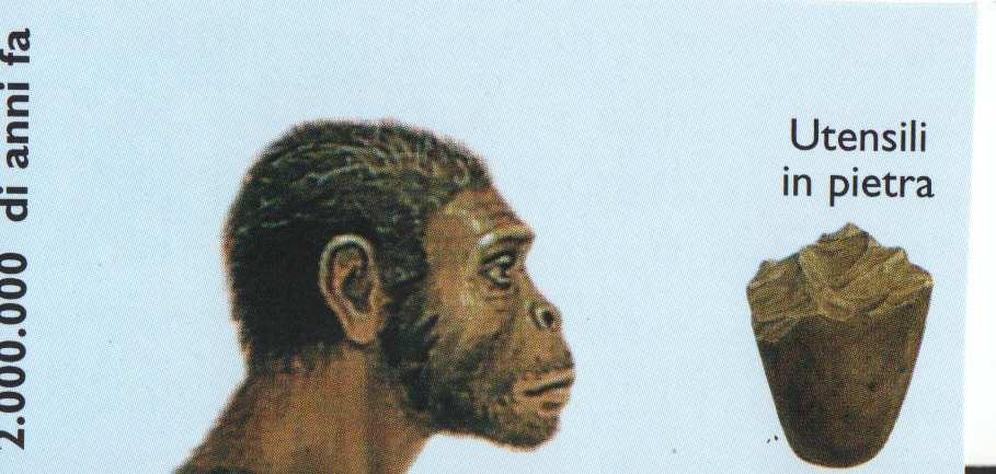 2 milioni di anni fa si estinguono gli ultimi australopitechi e compare una specie ulteriormente evoluta, il nostro