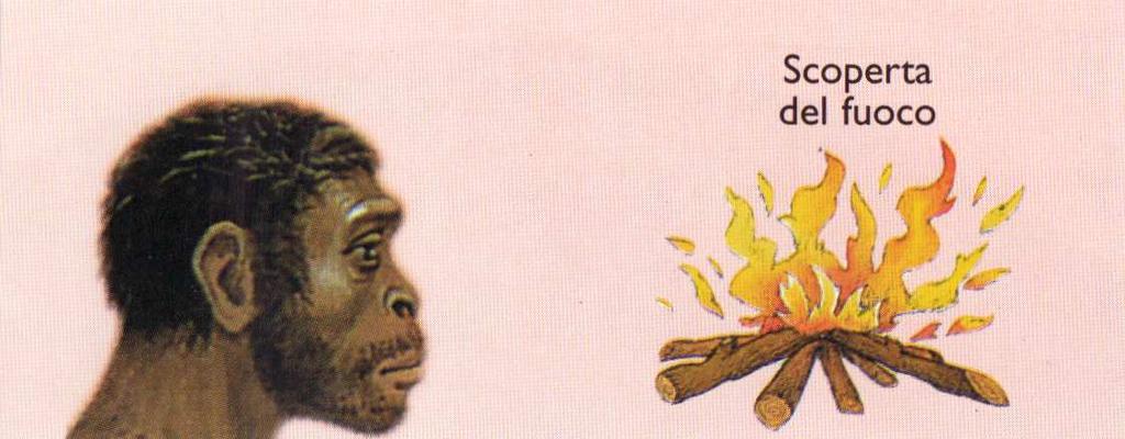 1,8 milioni anni fa dall Homo habilis discende l Homo erectus che dura fino a circa