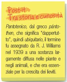 Vitamina B 5»Vitamina B 5 (acido pantotenico) Funzioni: è un costituente del coenzima A interviene nel metabolismo di glucidi, protidi