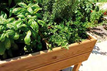 Vantaggi: Coltivare il proprio orto di casa senza avere un giardino. Con la linea ortolegno è possibile farlo anche su balconi o terrazzi.