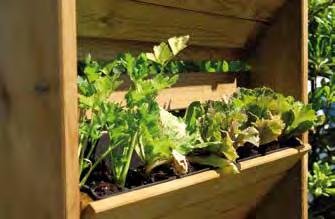 Fornito già montato Vantaggi Ideale per la coltivazione di piante aromatiche e piccoli ortaggi. Pratica soluzione, ideale anche per arredare balconi e terrazze.