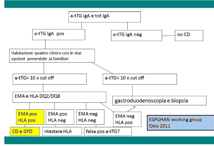 La diagnosi di celiachia viene effettuata con il dosaggio di autoanticorpi specifici nel sangue. Assodato che gli anticorpi (distinti nelle classi: IgA.