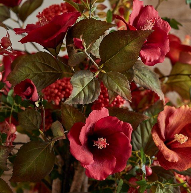Ibiscus Pensa ad un fiore che racchiuda in sé la perfezione della rosa, la semplicità del lisianthus,