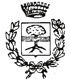 ORIGINALE Comune di Pasiano di Pordenone Provincia di Pordenone Verbale di deliberazione del Consiglio Comunale N. 37 del Reg.