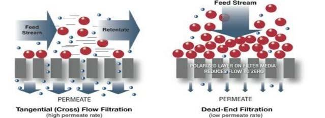 Processo di filtrazione MEMBRANE: mezzi porosi in grado di effettuare la separazione selettiva delle sostanze contenute nel refluo, grazie ad una forza motrice, costituita dalla differenza di