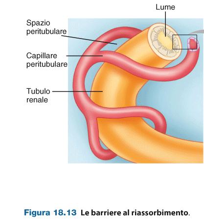 LEZIONE 28: