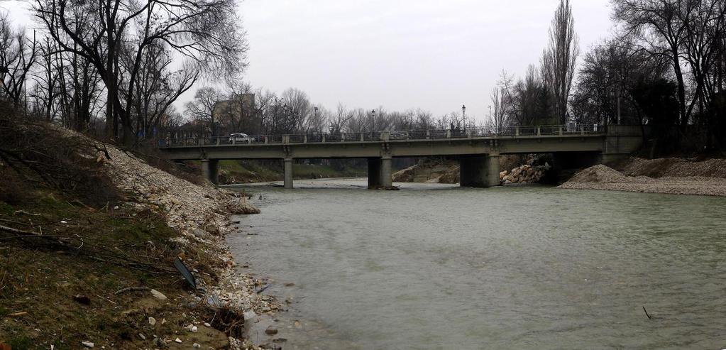 Servizio Tecnico dei Bacini degli Affluenti del Po Torrente Baganza a monte del Ponte Nuovo, (situazione ante lavori) Lavori in progetto: sagomatura alveo e sponde per aumentare l