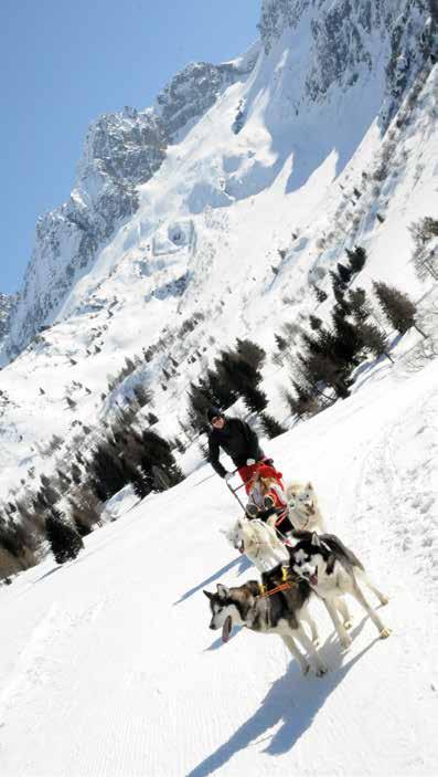 Corsa E dal 23.12.2017 al 08.04.2018 Line E from 23 rd December 2017 to 8 th April 2018 find your skibus 13.30 14.00 14.30 15.00 15.30 16.00 16.30 17.00 17:30 13.34 14.04 14.34 15.04 15.34 16.04 16.