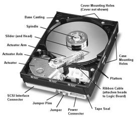 Cylinder Si dividono essenzialmente in: Dispositivi magnetici: Hard disk, Floppy Disk, Nastri Dispositivi ottici: CD, CDROM, CD-R, CD-RW, DVD F. Am