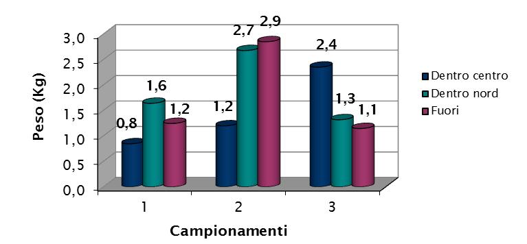 Peso totale degli esemplari catturati nei tre campionamenti nella zona con barriere artificiali (centro e nord) e senza barriere (fuori) Grafico 4.