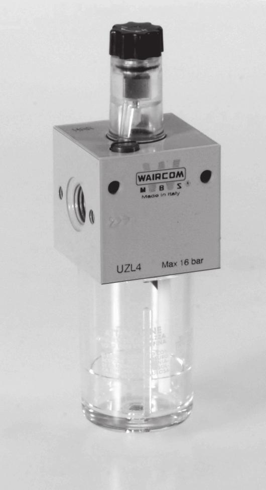 livello). Per una corretta lubrificazione si consiglia una goccia di olio (WAIRSOL classe ISO22) ogni 300-500 Nl/min.