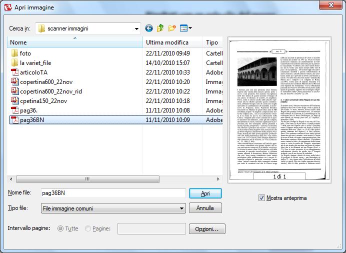 pdf in testo