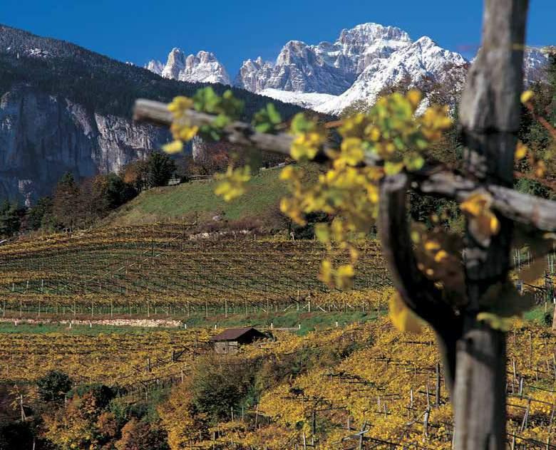 DOLOMITI DI BRENTA Il gruppo del Brenta, Patrimonio dell'umanità dall'unesco compreso nel Parco Naturale Adamello-Brenta, alle spalle dei