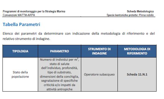 Monitoraggio degli habitat e specie marine di interesse unionale LE