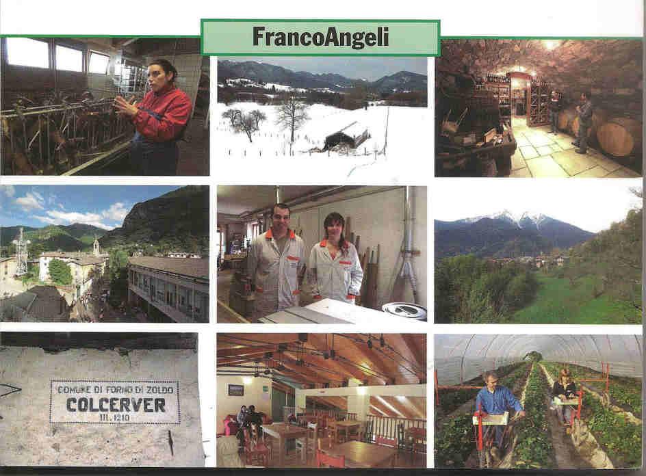 Una ricerca sui nuovi insediati nelle Alpi italiane 10 aree campione dalle Alpi