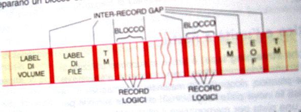 Formato del Nastro Magnetico Piste (tracks)