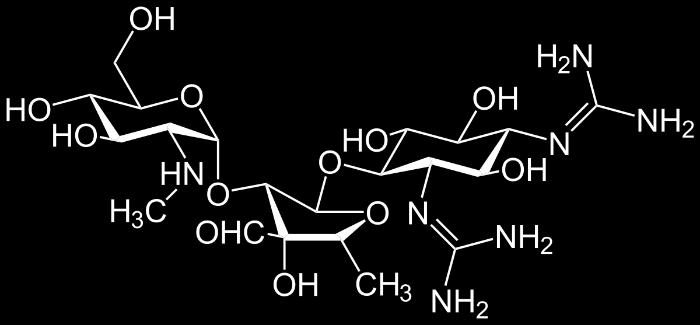 tobramicina Semi-sintetici: amikacina, netilmicina Ampio spettro di azione: Gram-