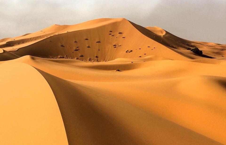 18 Aprile: Midelt - Erfoud (200 km circa) Trasferimento verso sud passando per le Gole dello Ziz, dove il paesaggio con palmeti e dromedari comincia a ricordarci il deserto, fino ad arrivare a