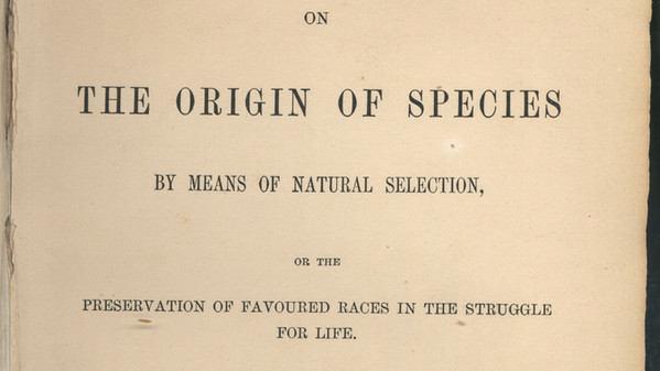 DARWIN (1859): L origine della Specie 1. Importanti somiglianze tra la specie umana e primati estensione dei risultati dello studio sul comportamento animale allo studio del comportamento umano 2.