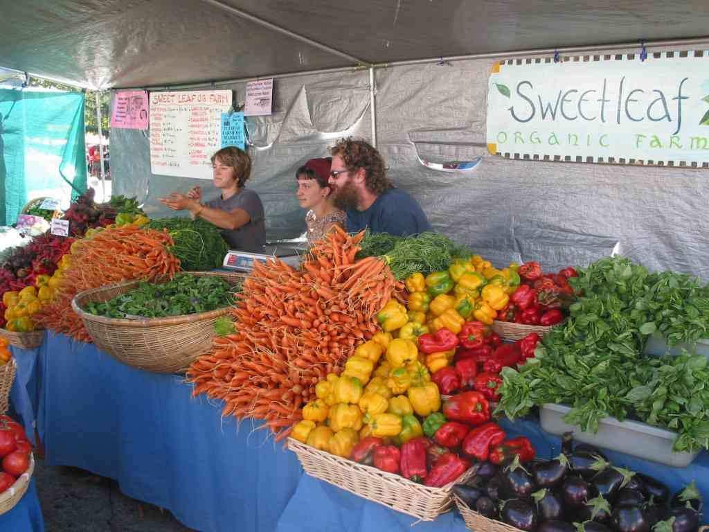 Azioni sulla domanda e l offerta di