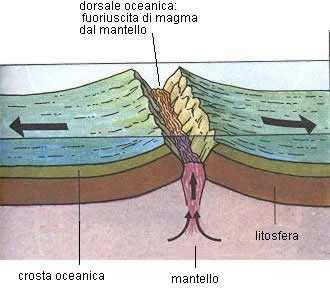 QUESTE PLACCHE SI MUOVONO SEPARATAMENTE LE UNE DALLE ALTRE PERCHE SONO SPOSTATE DALLE CORRENTI CONVETTIVE CHE ESISTONO ALL INTERNO DEL MATERIALE FLUIDO DEL MANTELLO.