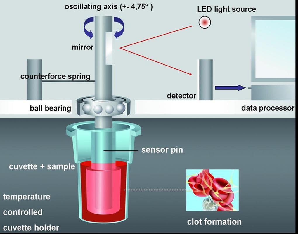 Funzionamento TEG Coppetta cilindrica contenente 0,34mL sangue intero oscilla di 4 45 ogni 5sec (forza rotazionale costante = shear stress) Pin chiude la coppetta, torsion wire collegato al pin