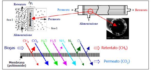 L utilizzo di una membrana selettiva permette di separare componenti di una