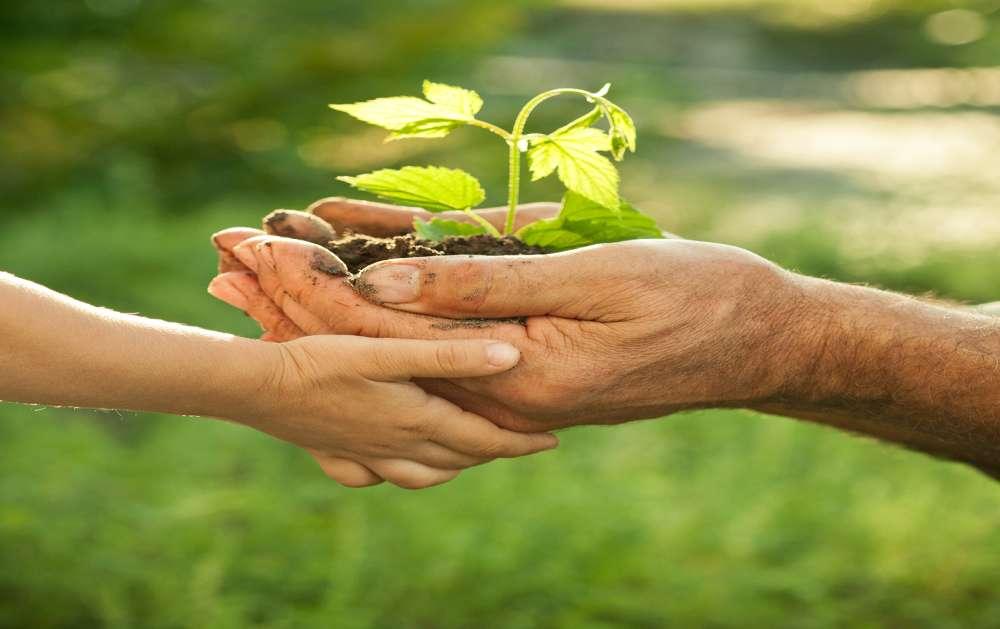 «La natura non fa