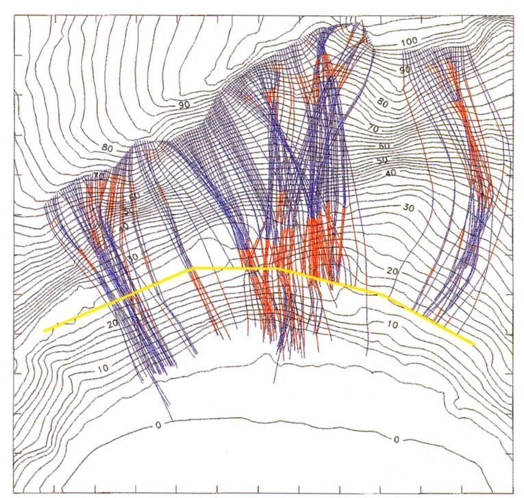 TRAIETTOGRAFIE E CARTE DELLE AREE DI INVASIONE Traiettorie simulate (n=200) e casi di superamento (n=118) per una barriera paramassi di progetto alta 4 m e capace di dissipare