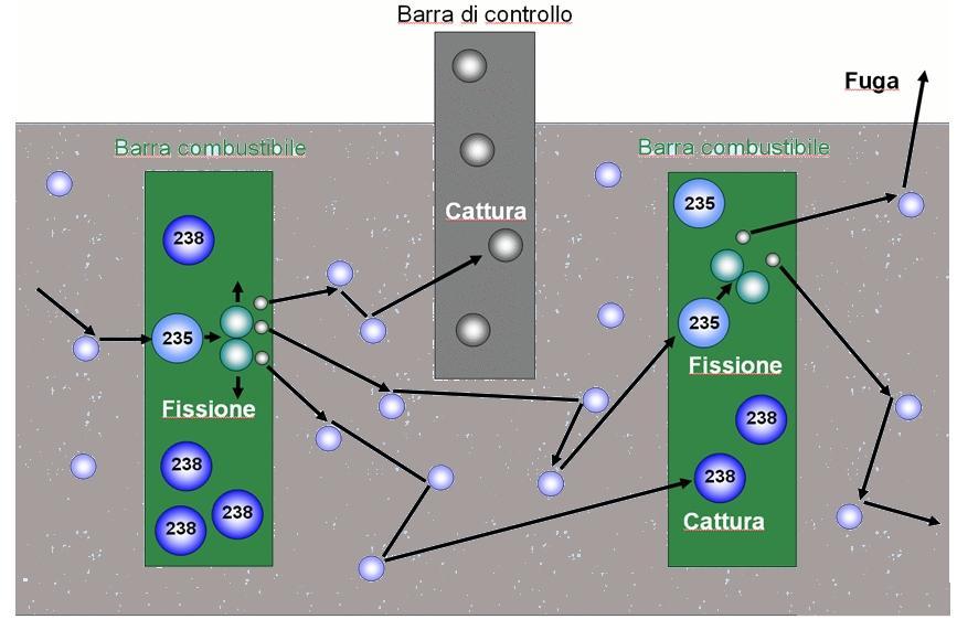 LA REAZIONE A CATENA NEL NOCCIOLO