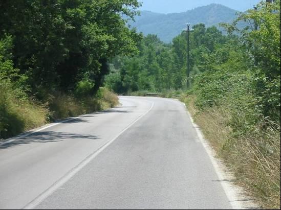 visibilità superiore a circa 50 m ma insufficiente per garantire l arresto del veicolo o la corretta percezione del tracciato (cfr.