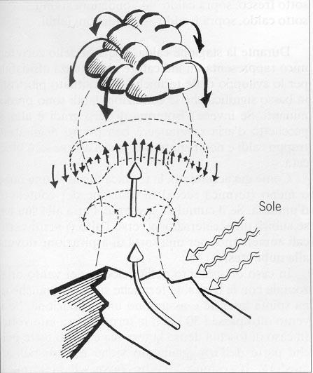 MOVIMENTO - convezione Moto ascensionale di aria calda circondata da aria più fresca.
