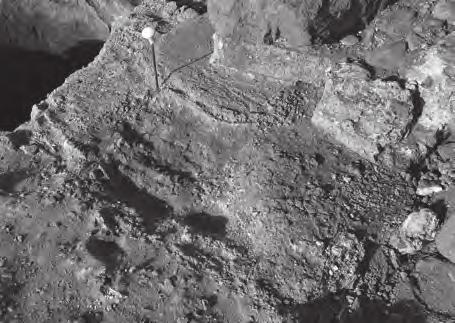 Fig. 4 - Nora, Area P, saggio PR1, settore orientale. La stesura di calce chiara 33033=33692. Fig. 5 - Nora, Area P, saggio PR1, settore orientale. La fossa -33701, vista da ovest. costruzione del c.