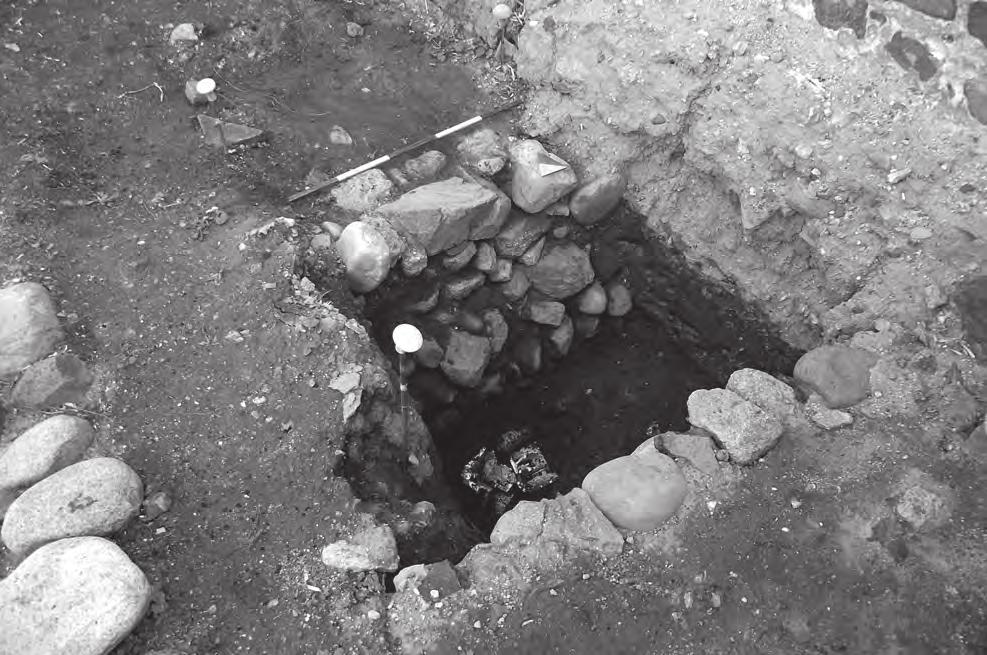 Fig. 6 - Nora, Area D, vano 6. Fine scavo con riemp