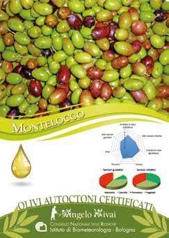 I sentori olfattivi caratterizzano l olio con prevalenti note di carciofo accompagnate dai sentori di mandorla, vegetale e pomodoro; al gusto il sentore prevalente è quello di carciofo insieme a note