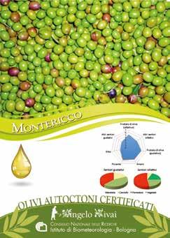 INDICE delle Varietà di Montericco Olio che presenta un sentore medio-intenso di fruttato di oliva sia al gusto sia all olfatto insieme a spiccate note di piccante ed amaro.