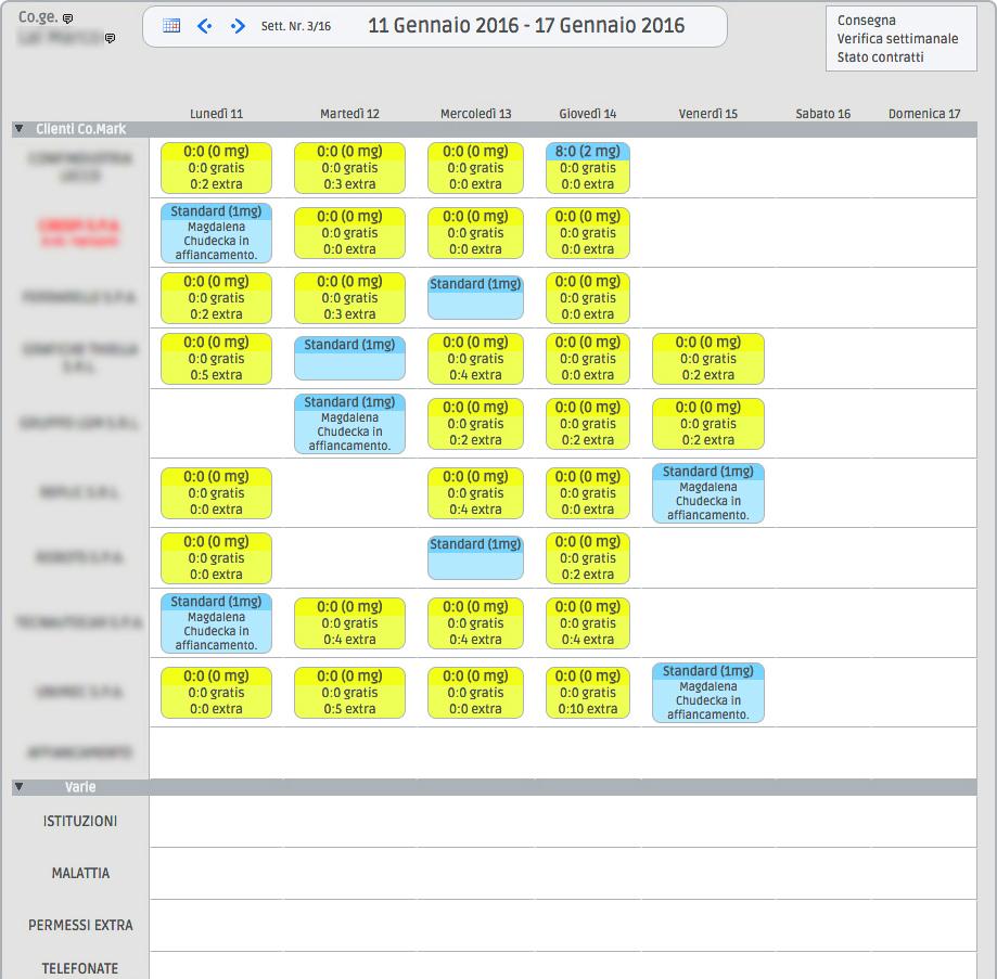 Co.Ge. CONTROLLO DI GESTIONE PER IL TES Controllo di Gestione per il Temporary Export Management, una piattaforma webbased per la pianificazione, gestione e controllo di tutte le attività di TES.