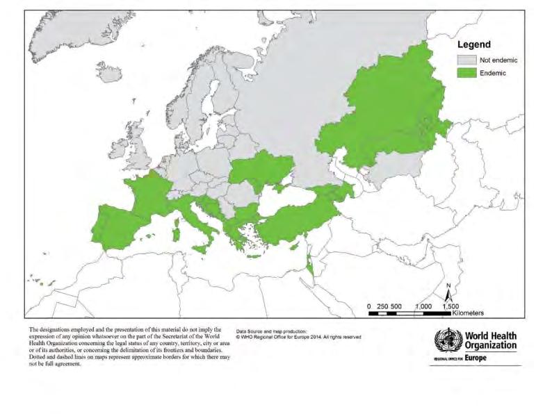 Le leishmaniosi nella Regione Europea dell OMS Meno del 2% del leishmaniasis global burden Incidenza stimata di LV: 1.100-1.900 casi/anno (moderata sottonotifica) Incidenza stimata di LC: 10.000-17.