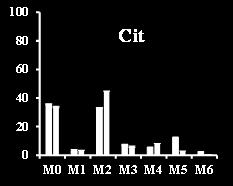 Oaa Asp % Asp MID [U 13 C 5 ] Gln Cit TCA Cycle % Cit MID [U 13 C 5