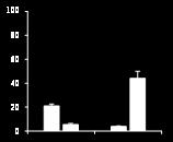 Combined Therapy Lac labeling from [U 13 C 6 ]