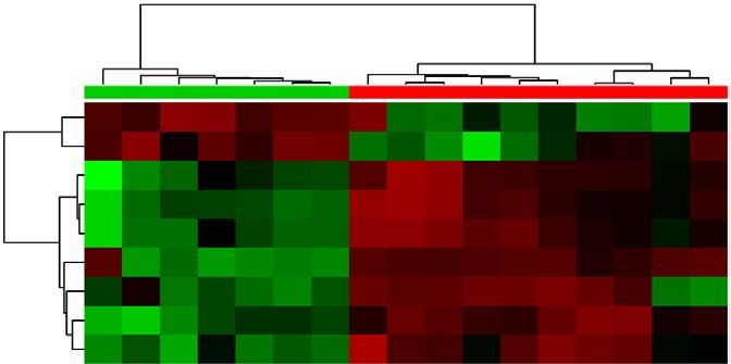 # Monitoraggio evoluzione malattia Carcinoma Polmonare Ala Cys Val Ile Leu