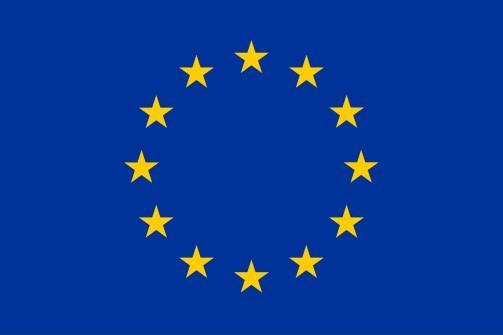 La direttiva 2012/18/UE e la problematica dell Ageing Nella direttiva c.d. «Seveso III» del 2012 introdotta per la prima volta in maniera esplicita la tematica dell ageing nel Sistema di gestione