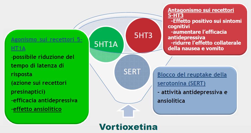 Azioni farmacologiche ricercate durante lo sviluppo di