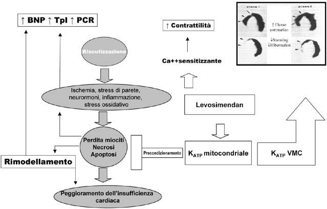 - Copyright - Il Pensiero Scientifico Editore downloaded by IP 148.251.232.